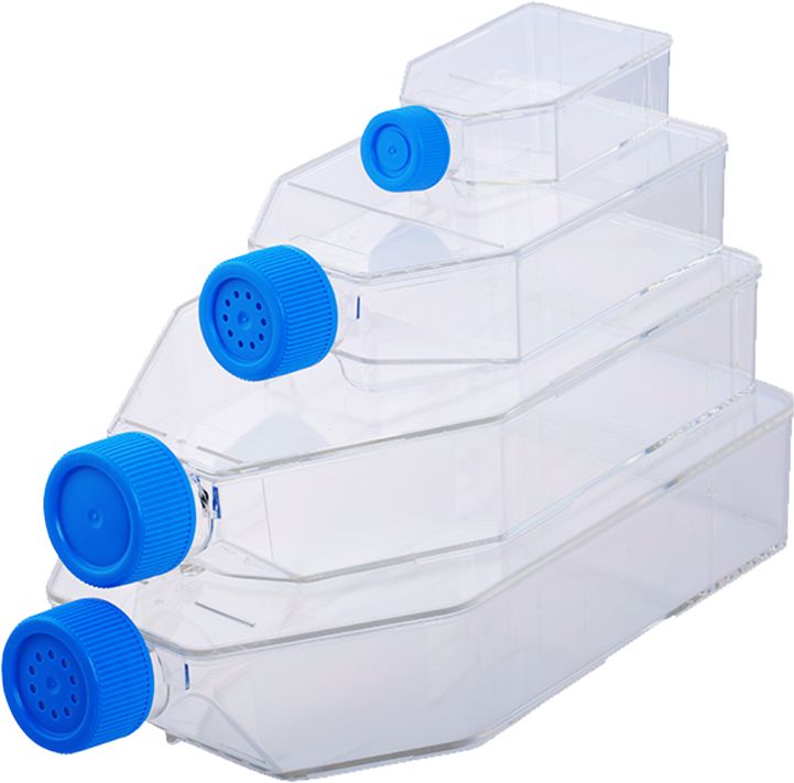 Cell Culture Flasks, Vent Cap, TC, Sterile