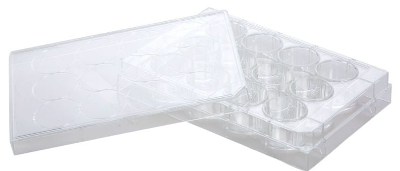 Cell Culture Plates, Flat, TC, Sterile