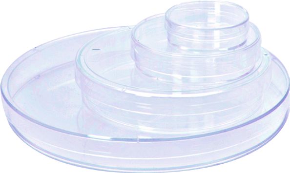 Cell Culture Dish, TC, Sterile